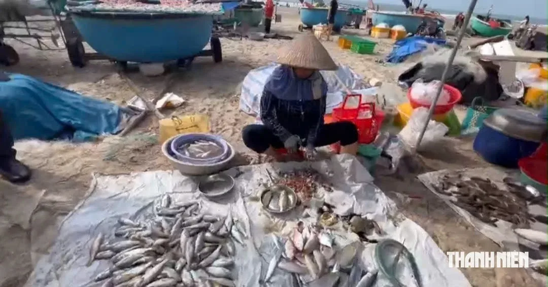 Xử phạt nghiêm tình trạng buôn bán tại chợ hải sản tự phát dưới bãi biển