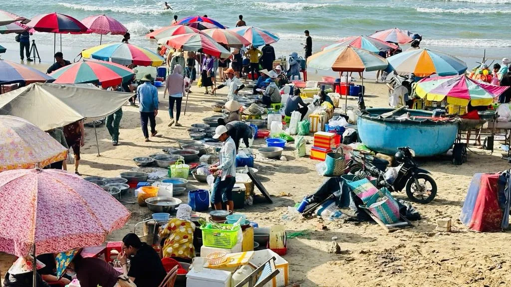 Yêu cầu ngưng hoạt động chợ hải sản tự phát trên bãi biển Thủy Tiên